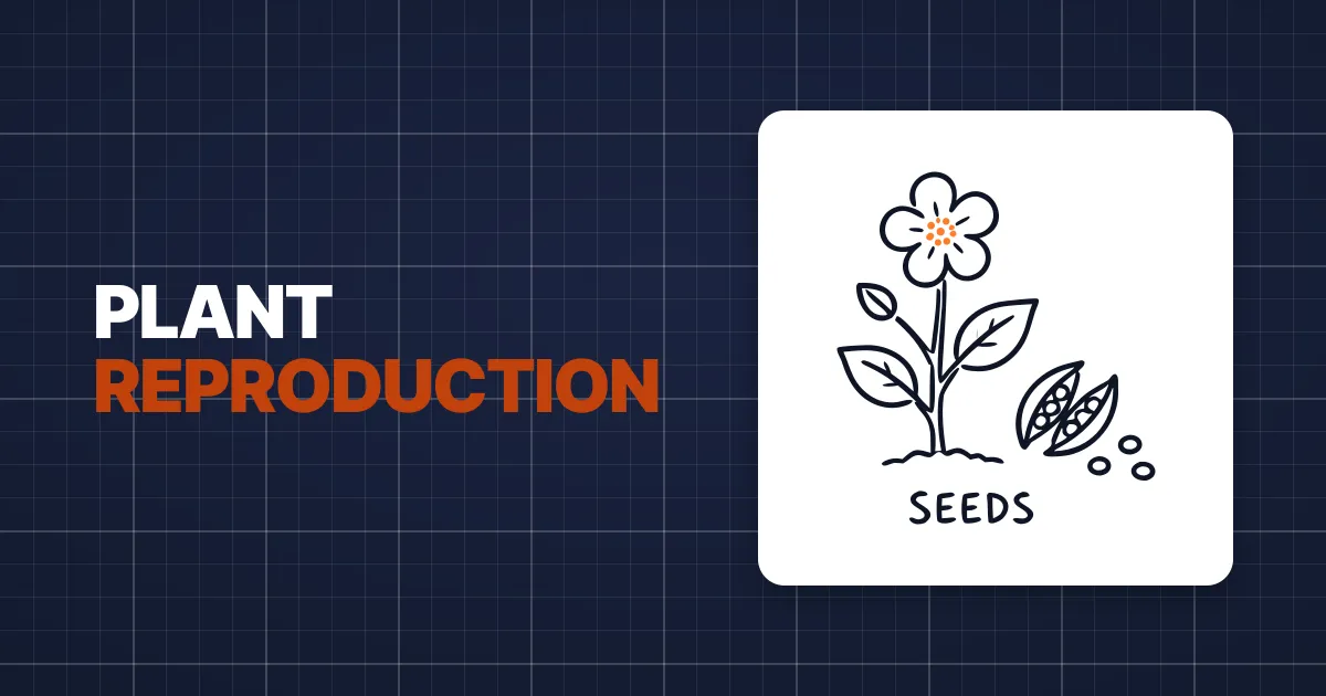 Plant Reproduction, Step by Step