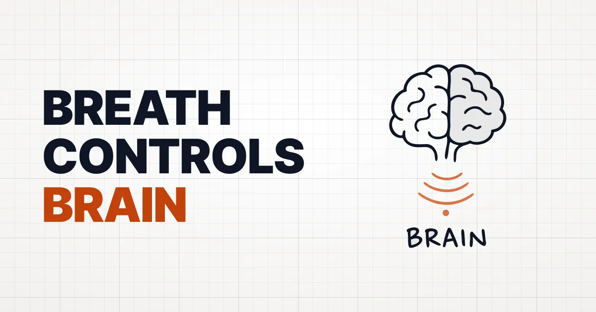 Breath Meets Brain